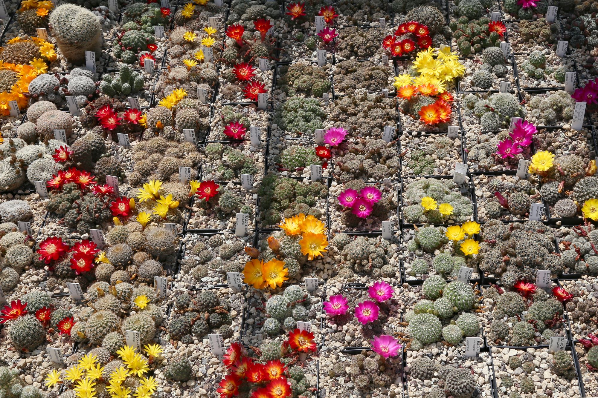 Bild zum Event: Saisonale Highlights